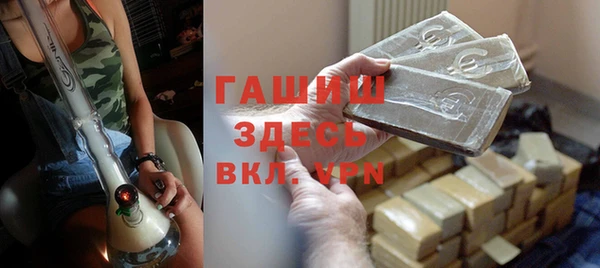 гидра Горнозаводск
