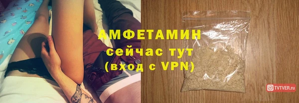 индика Вязники