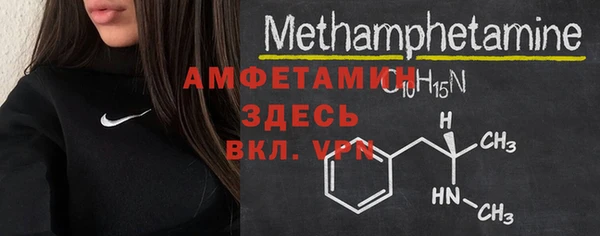 индика Вязники