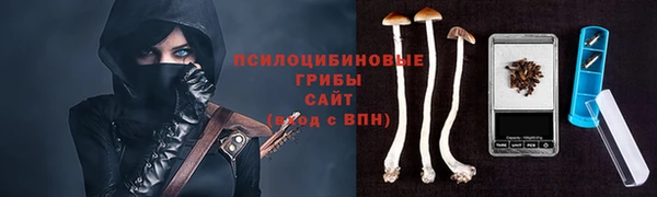 гидропоника Горняк