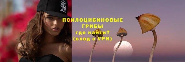 индика Вязники