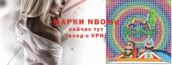 индика Вязники