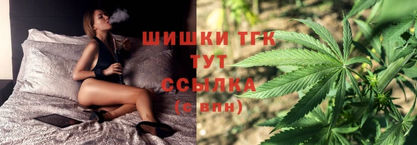 индика Вязники