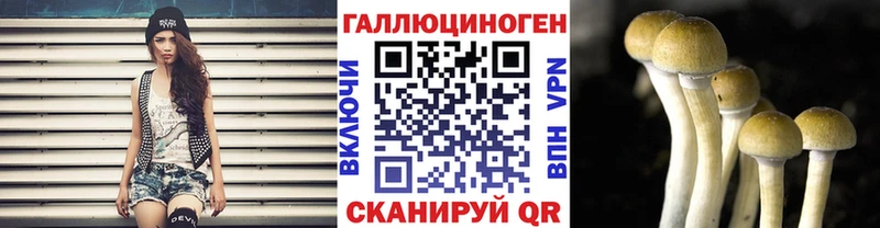 Купить  Новомичуринск  Псилоцибиновые грибы ЛСД 